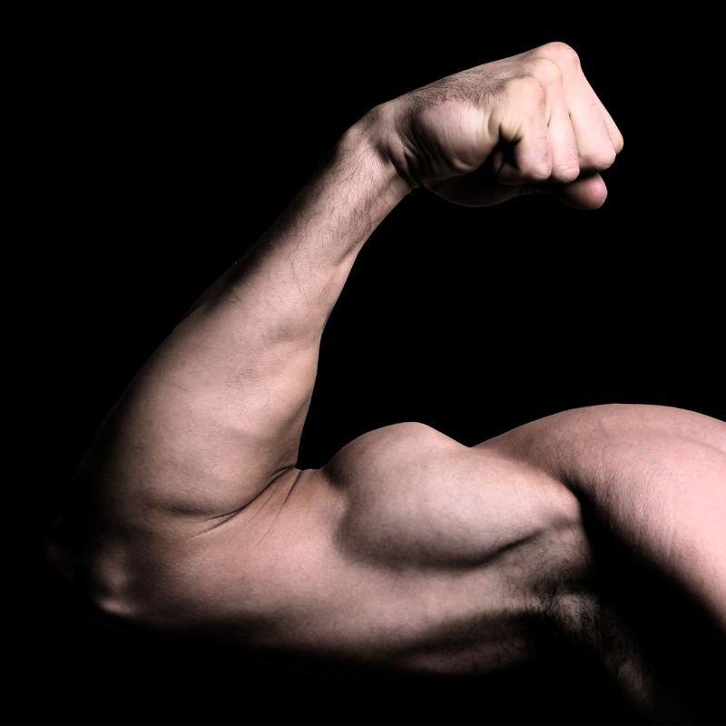 Bigger Biceps: The Science-Backed Methods for Maximum Growth - Urban Gym Wear