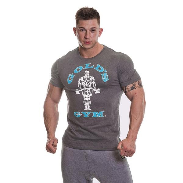 Gold's Gym Muscle Joe T-Shirt - Grey/Turquoise - Urban Gym Wear